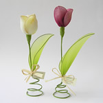 Flores tulipas - um lindo presente para o dia da mãe