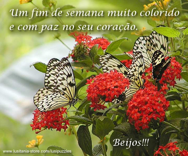 MVO-00123-recado-fim-semana-colorido-paz