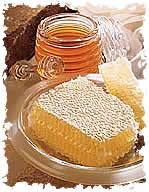 Receitas de culinÃ¡ria com Mel