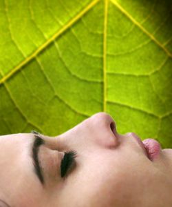 Receitas de beleza com Mel